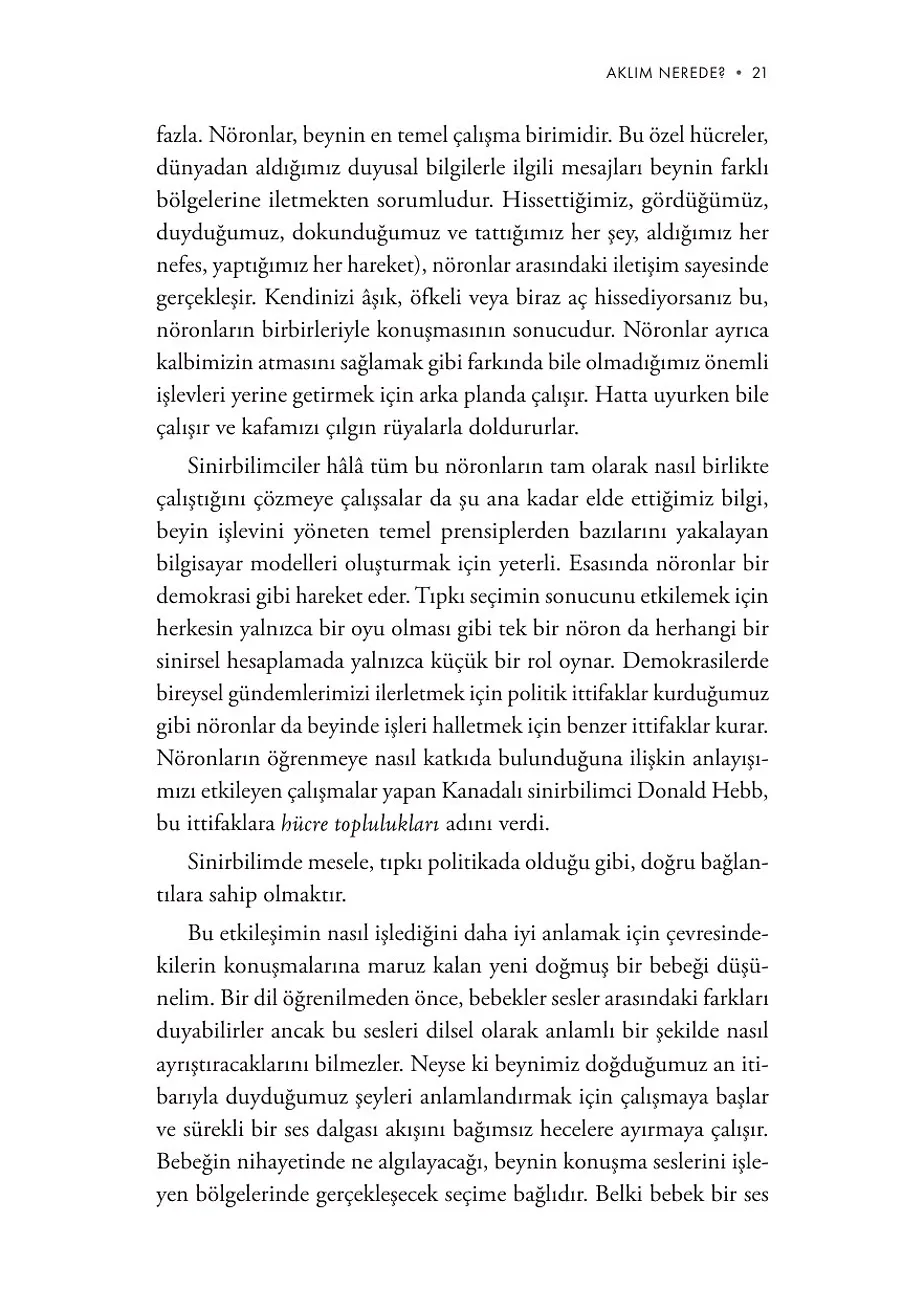 Hatırlamanın Bilimi Ve Unutmanın Gerekliliği – Sayfa 5