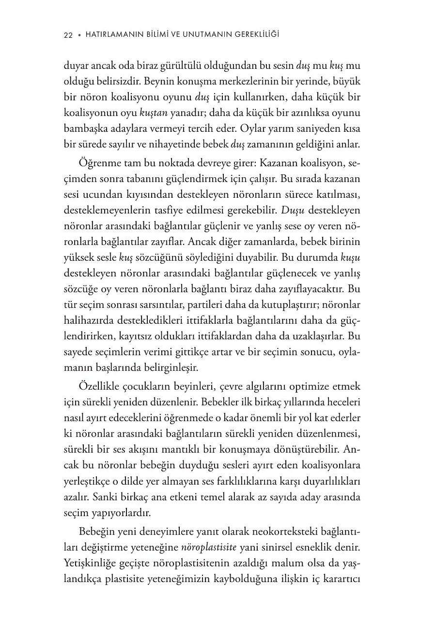 Hatırlamanın Bilimi Ve Unutmanın Gerekliliği – Sayfa 6