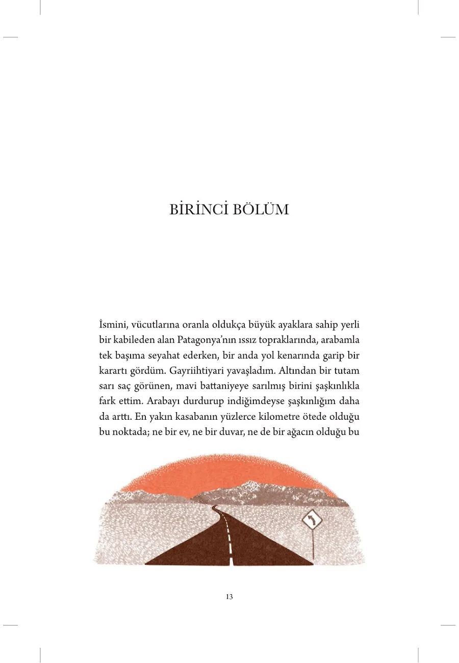 Genç Prens'in Dönüşü – Sayfa 2