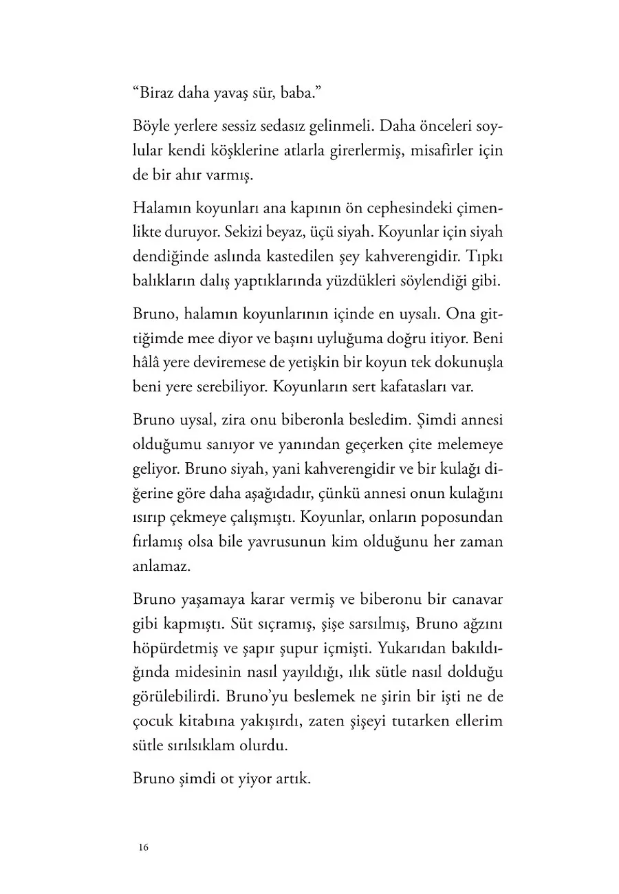 Gökten Düşen Şeyler – Sayfa 6