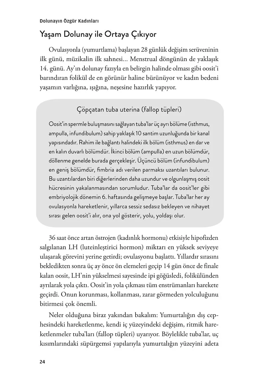 Dolunayın Özgür Kadınları – Sayfa 2