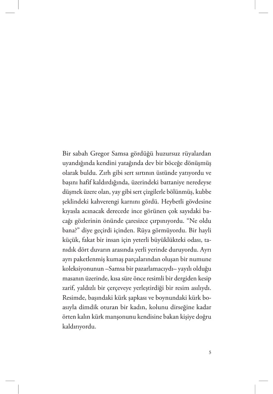 Dönüşüm – Sayfa 3