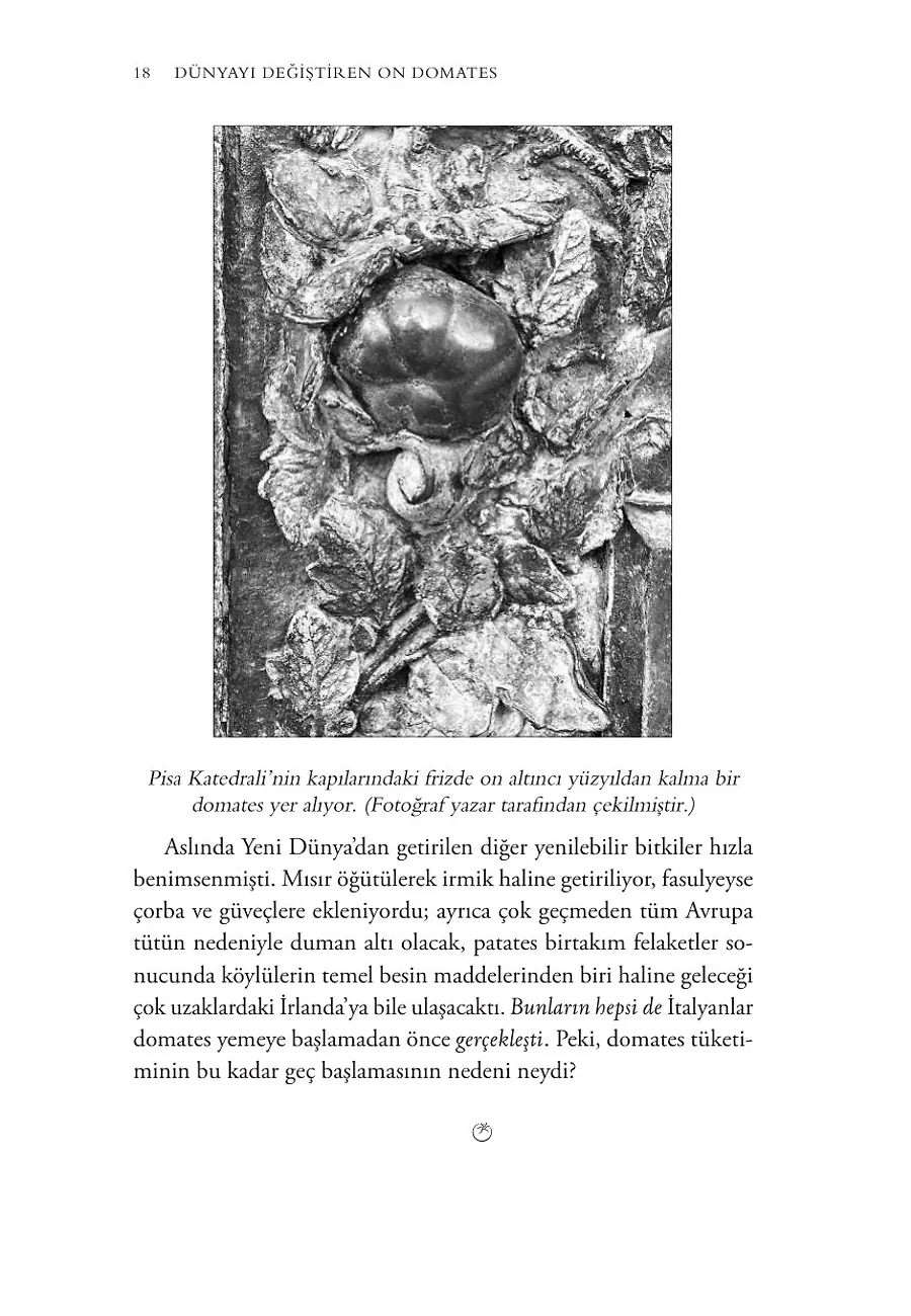 Dünyayı Değiştiren On Domates – Sayfa 6