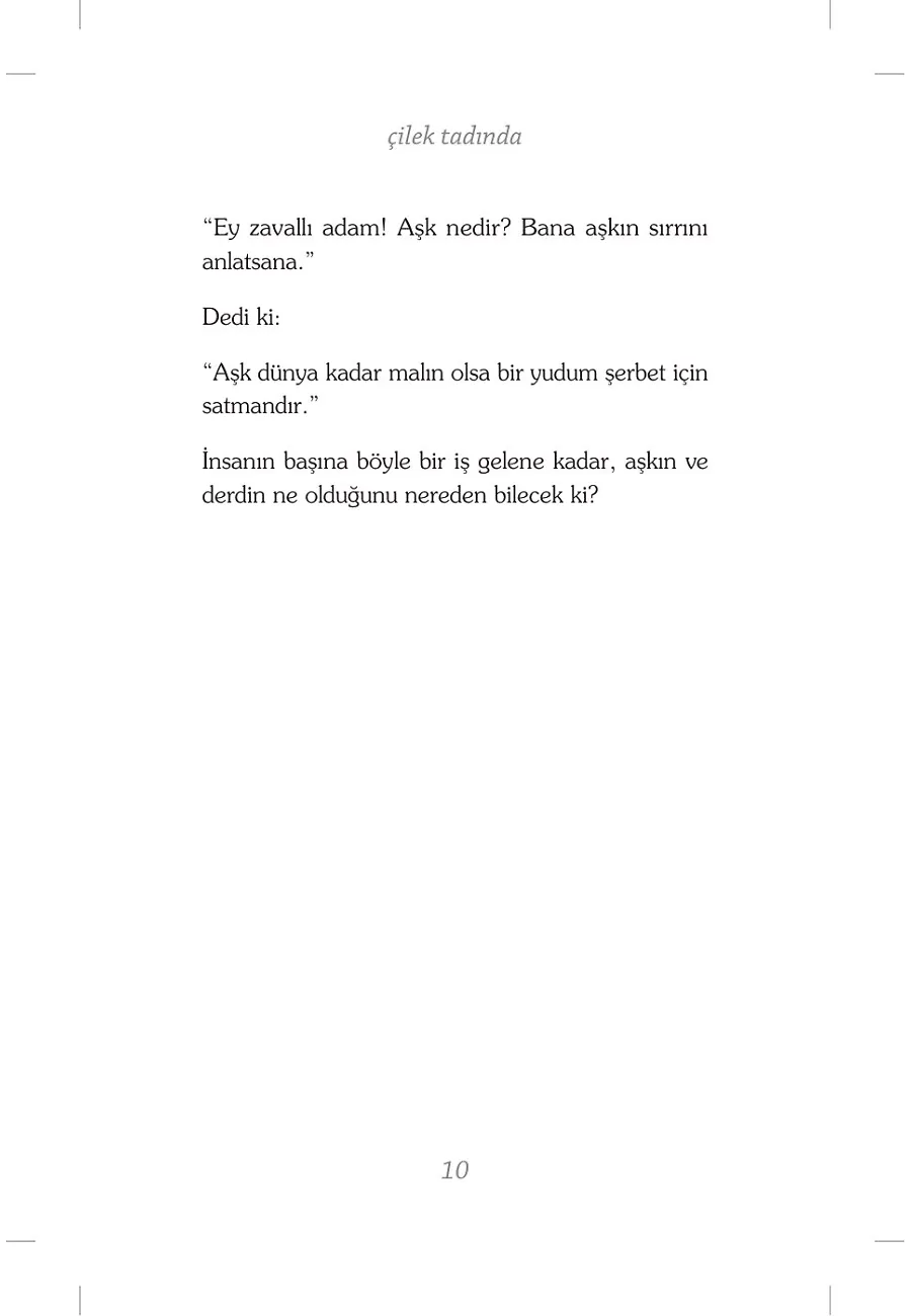 Çilek Tadında Aşk Öyküleri – Sayfa 4