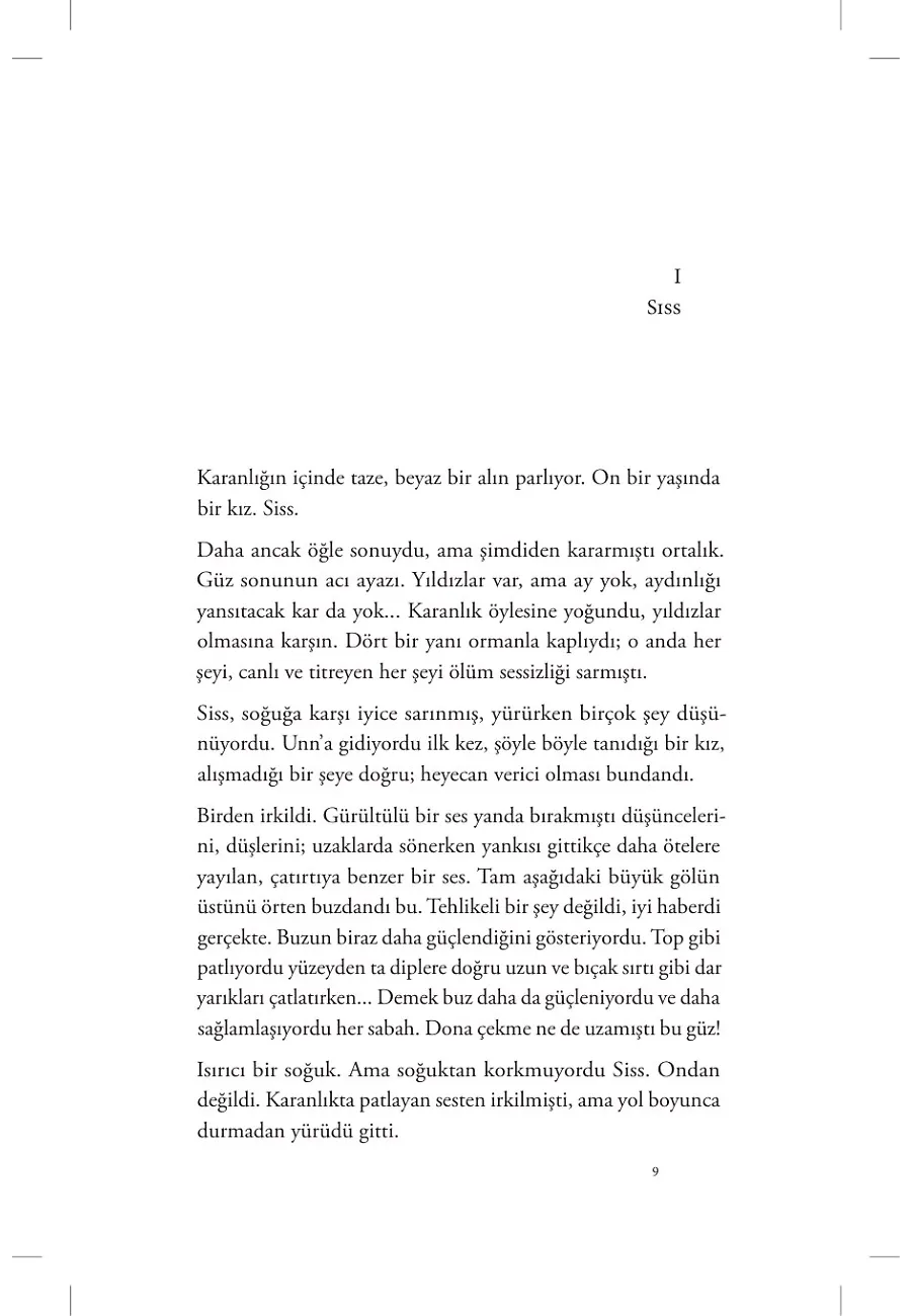 Buz Sarayı – Sayfa 2