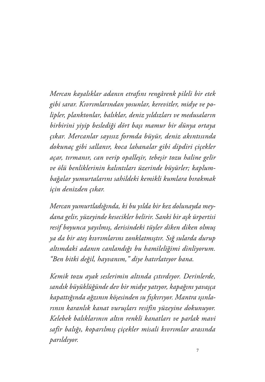 Böcekleri Seven Kadın – Sayfa 1