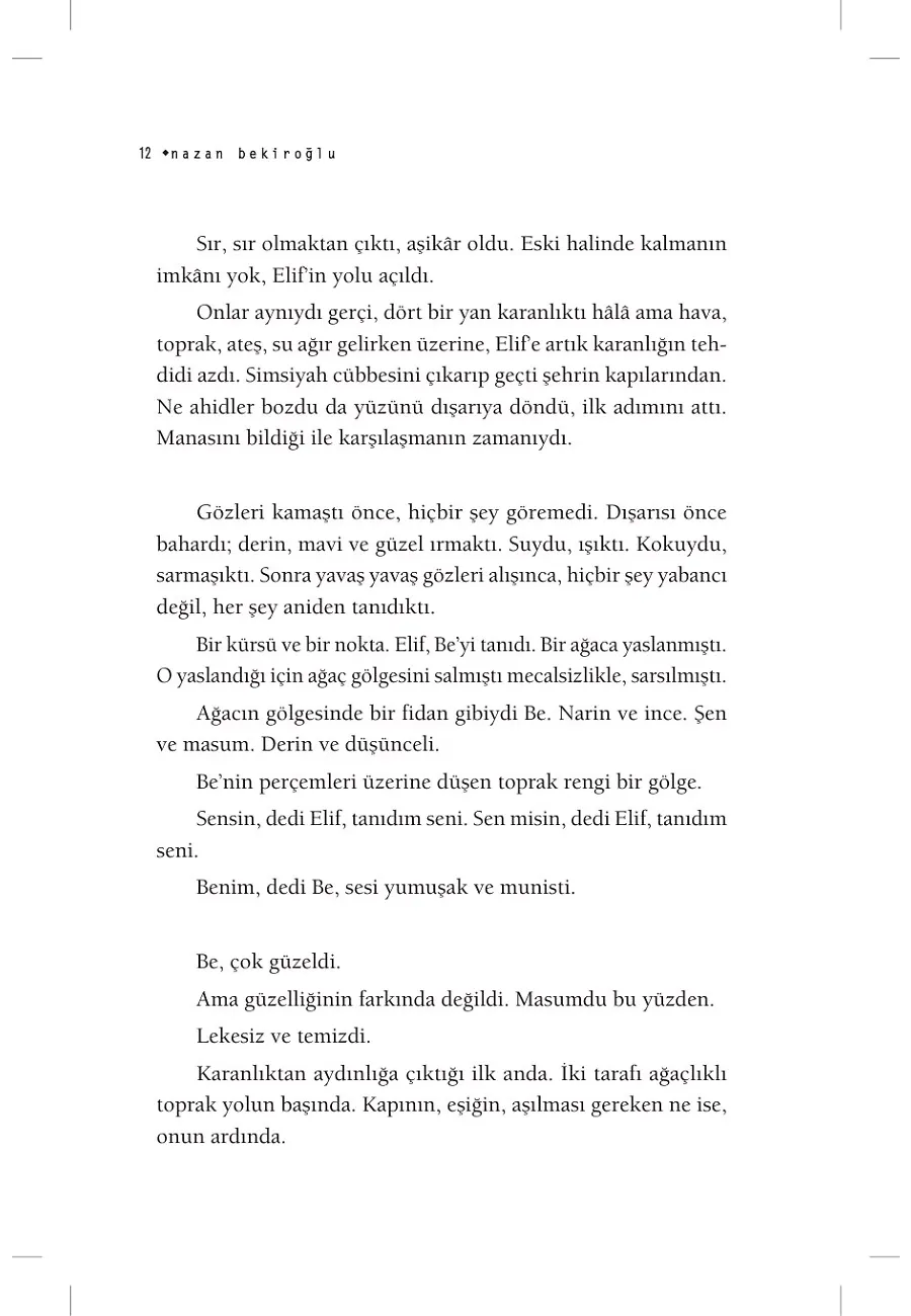 Cam Irmağı Taş Gemi (Bez Ciltli) – Sayfa 6