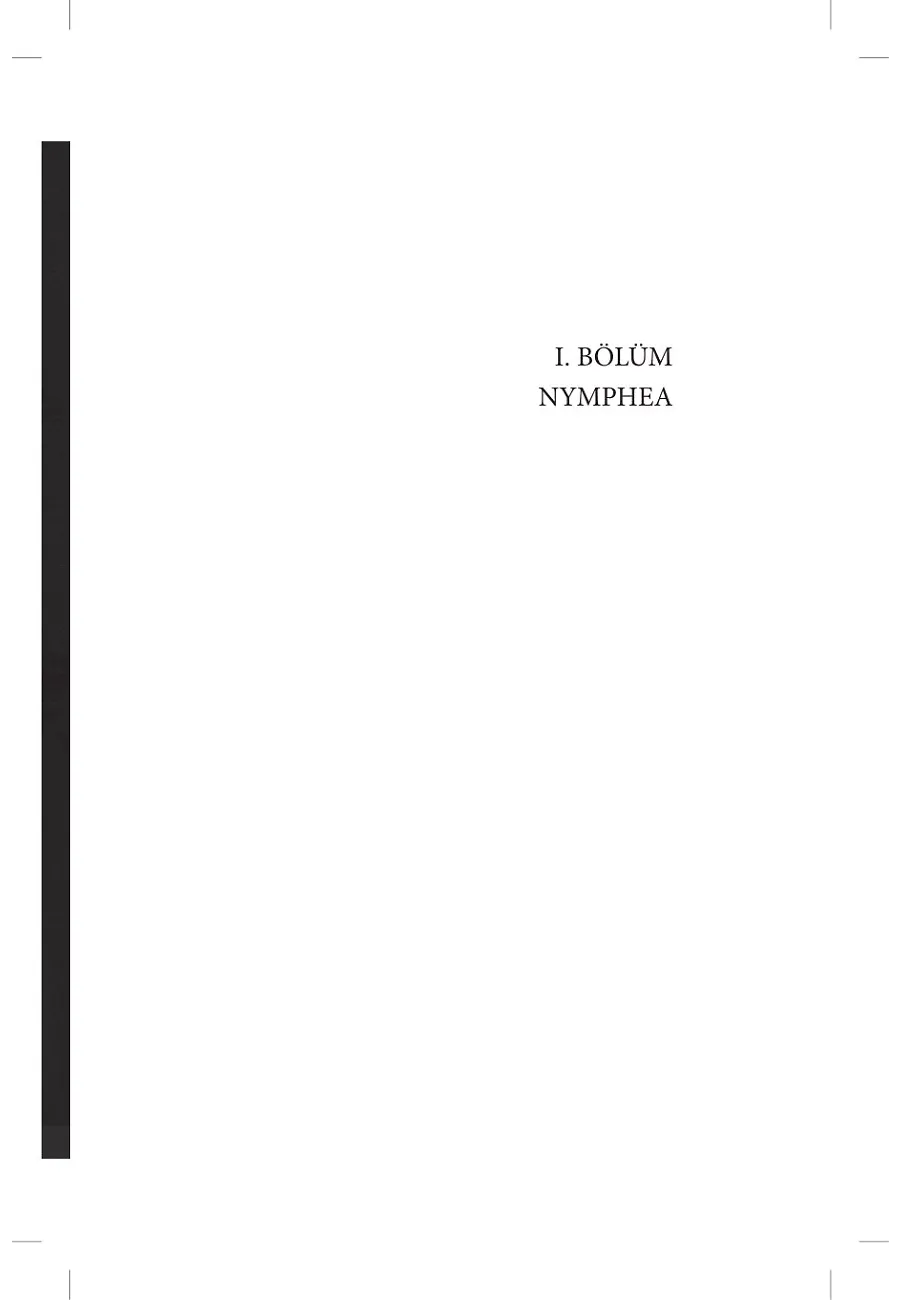 Budalalar Okulu – Sayfa 3