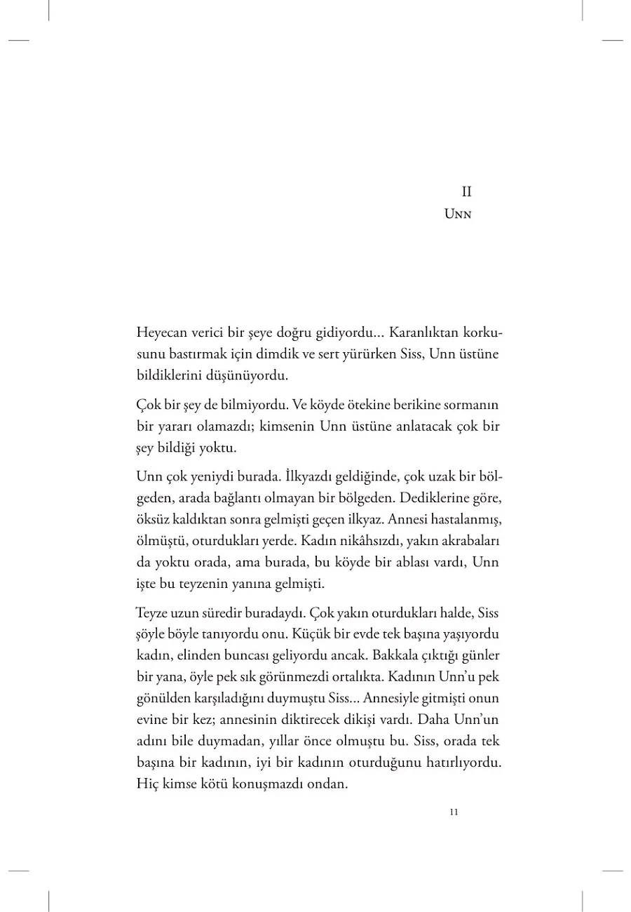 Buz Sarayı – Sayfa 4