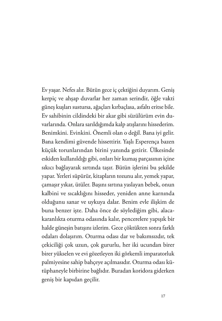 Bukalemunlar Kitabı – Sayfa 5