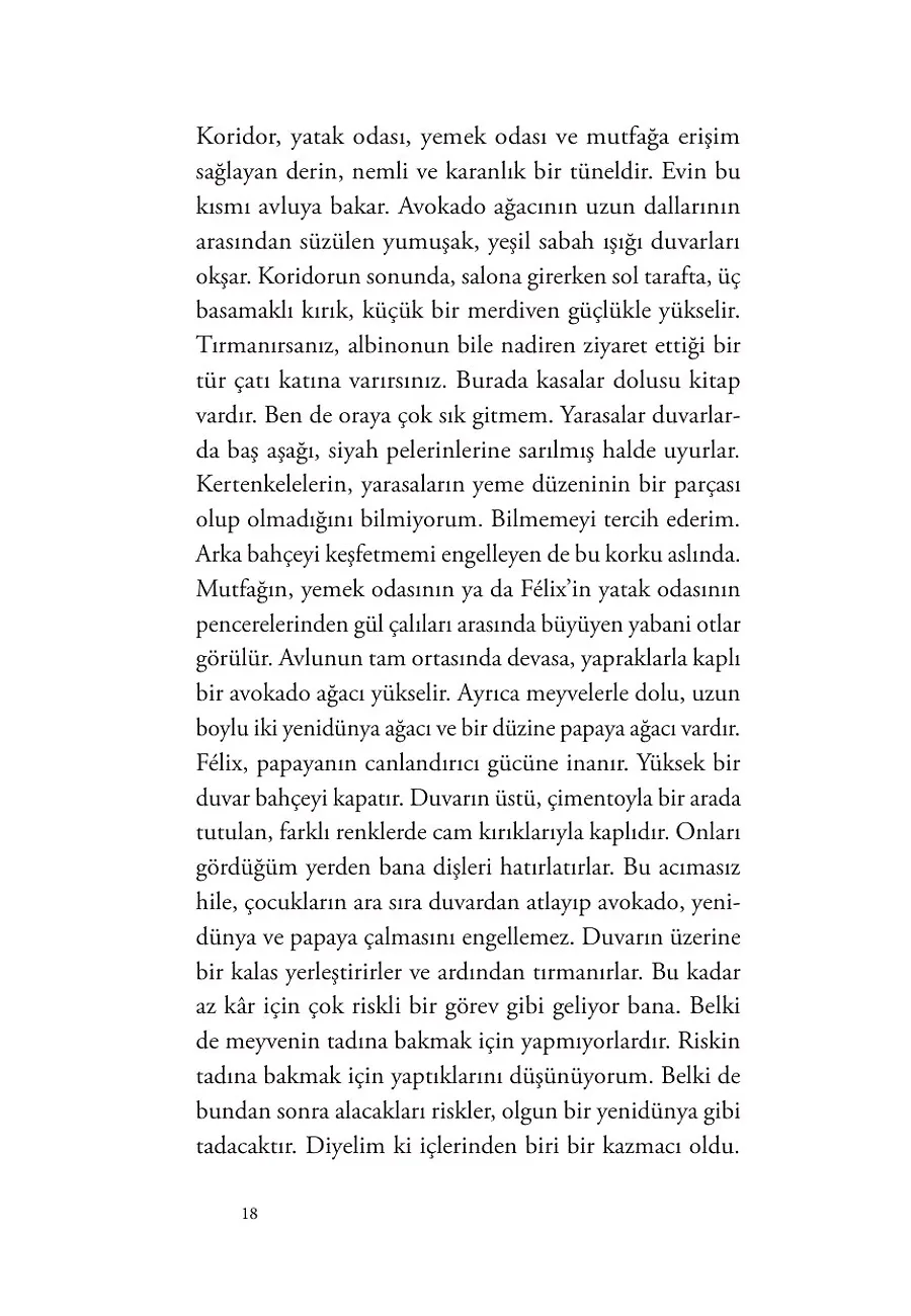 Bukalemunlar Kitabı – Sayfa 6