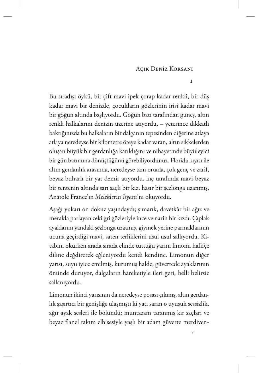 Bir Yazarın Öğleden Sonrası – Sayfa 4