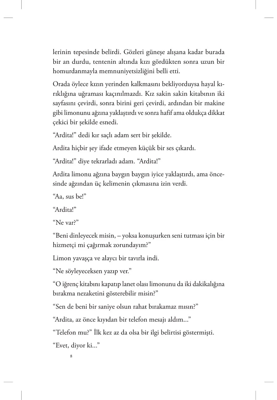 Bir Yazarın Öğleden Sonrası – Sayfa 5