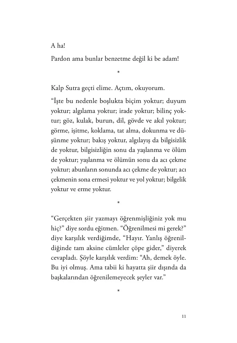 Bir Katilin Güncesi – Sayfa 5