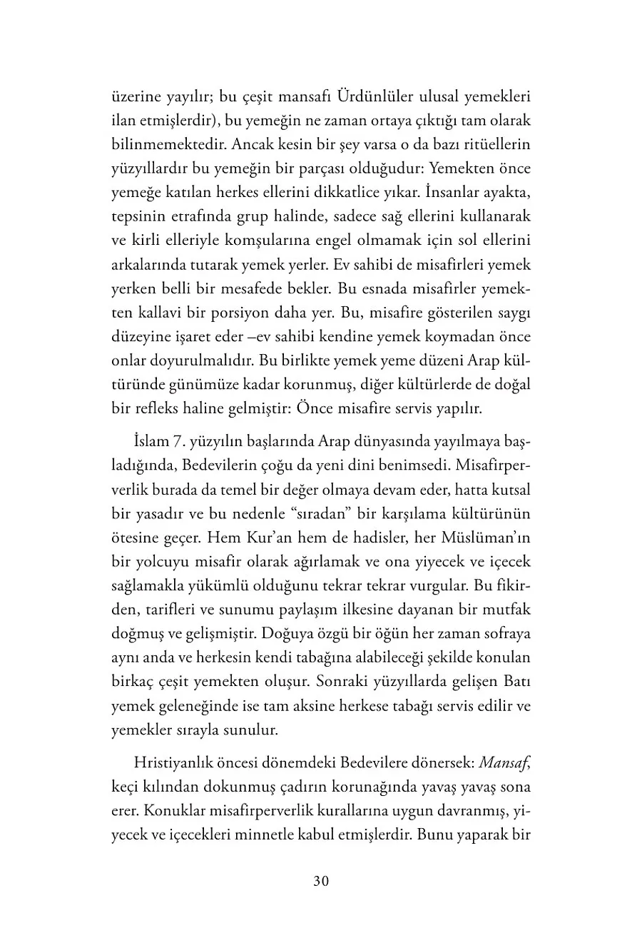 Bir Mamut Nasıl Yenir – Sayfa 5