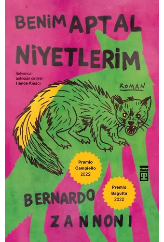 Benim Aptal Niyetlerim