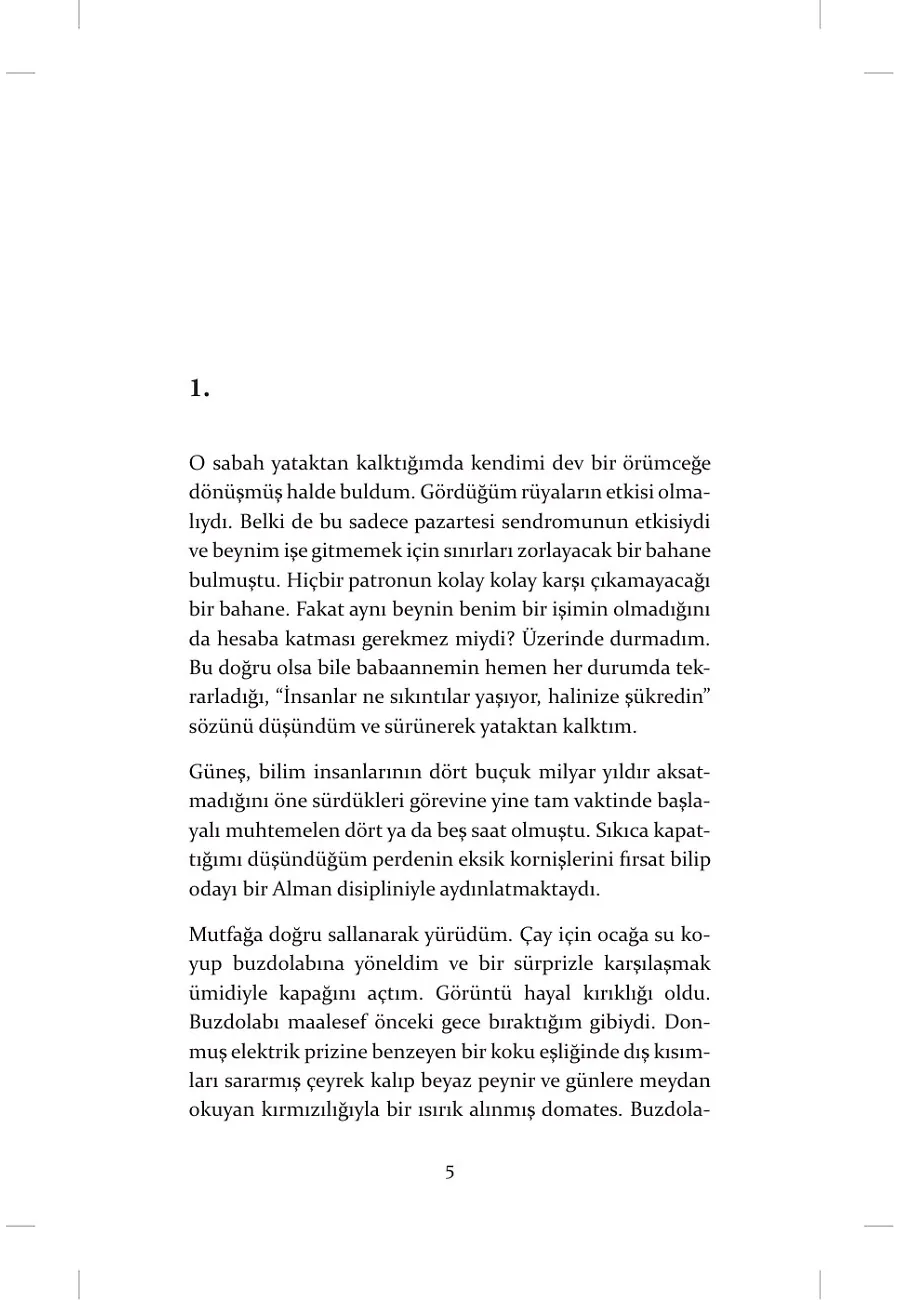 Beyinsiz Adam Yazıklar Olsun – Sayfa 2
