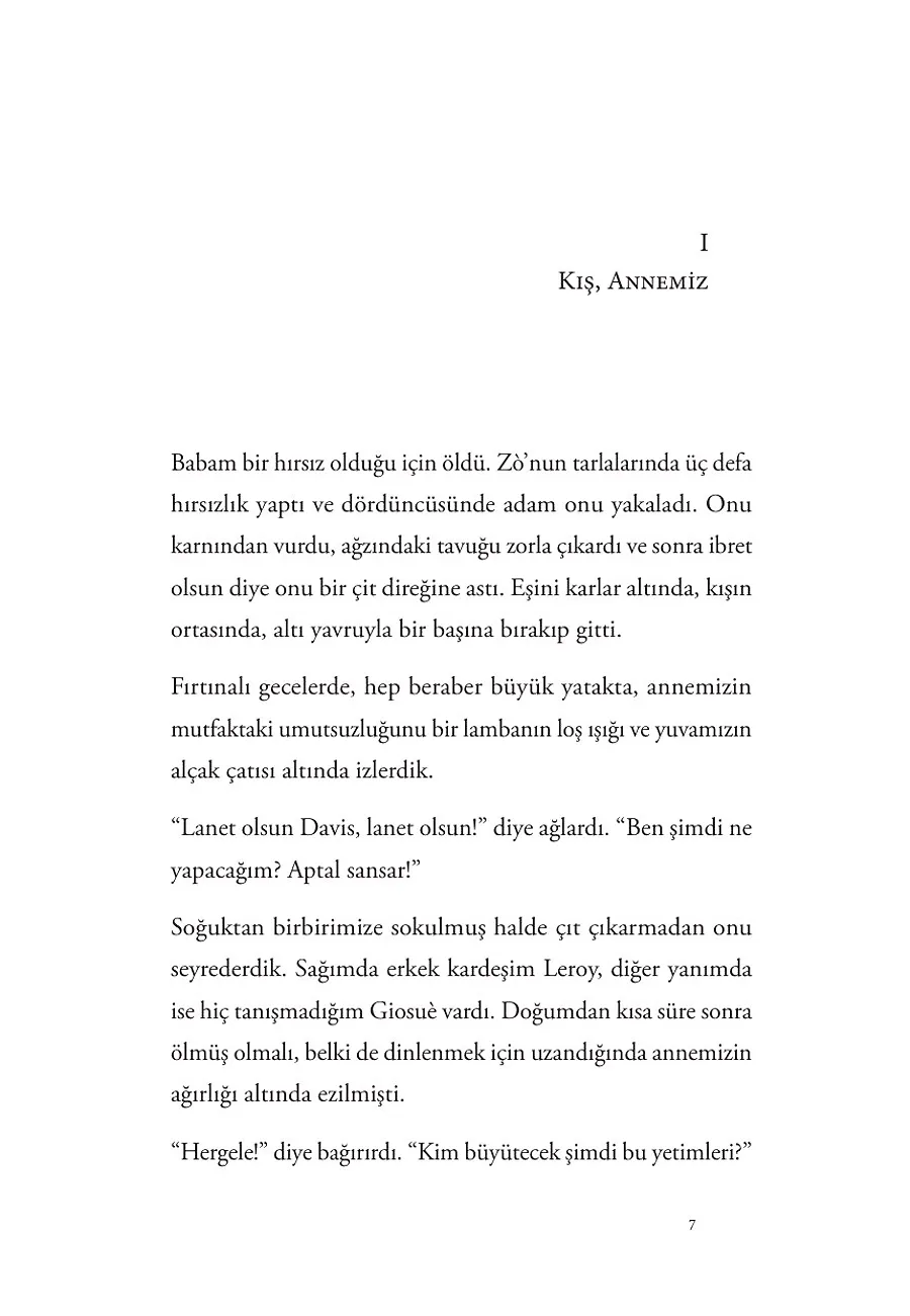 Benim Aptal Niyetlerim – Sayfa 1