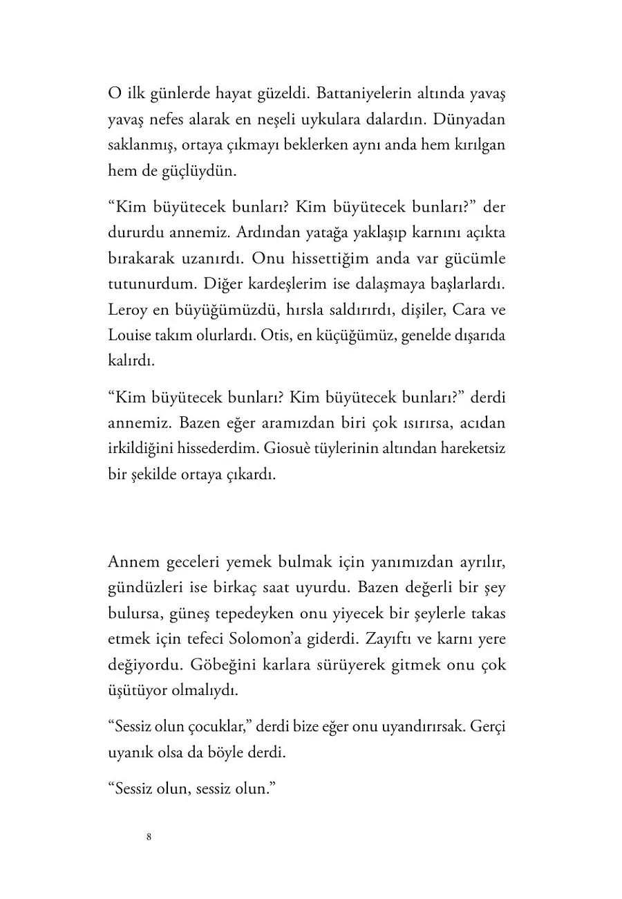 Benim Aptal Niyetlerim – Sayfa 2