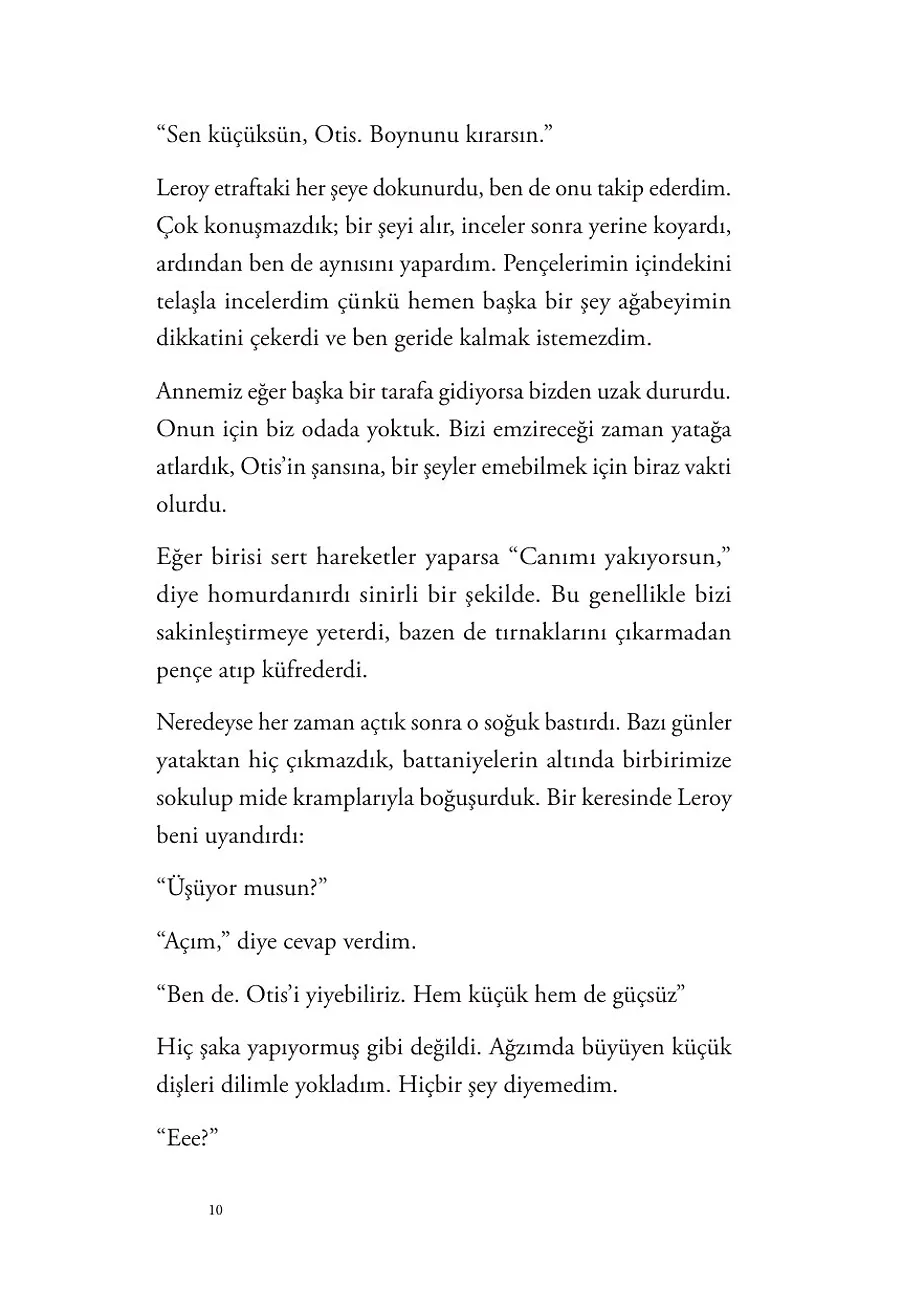 Benim Aptal Niyetlerim – Sayfa 4