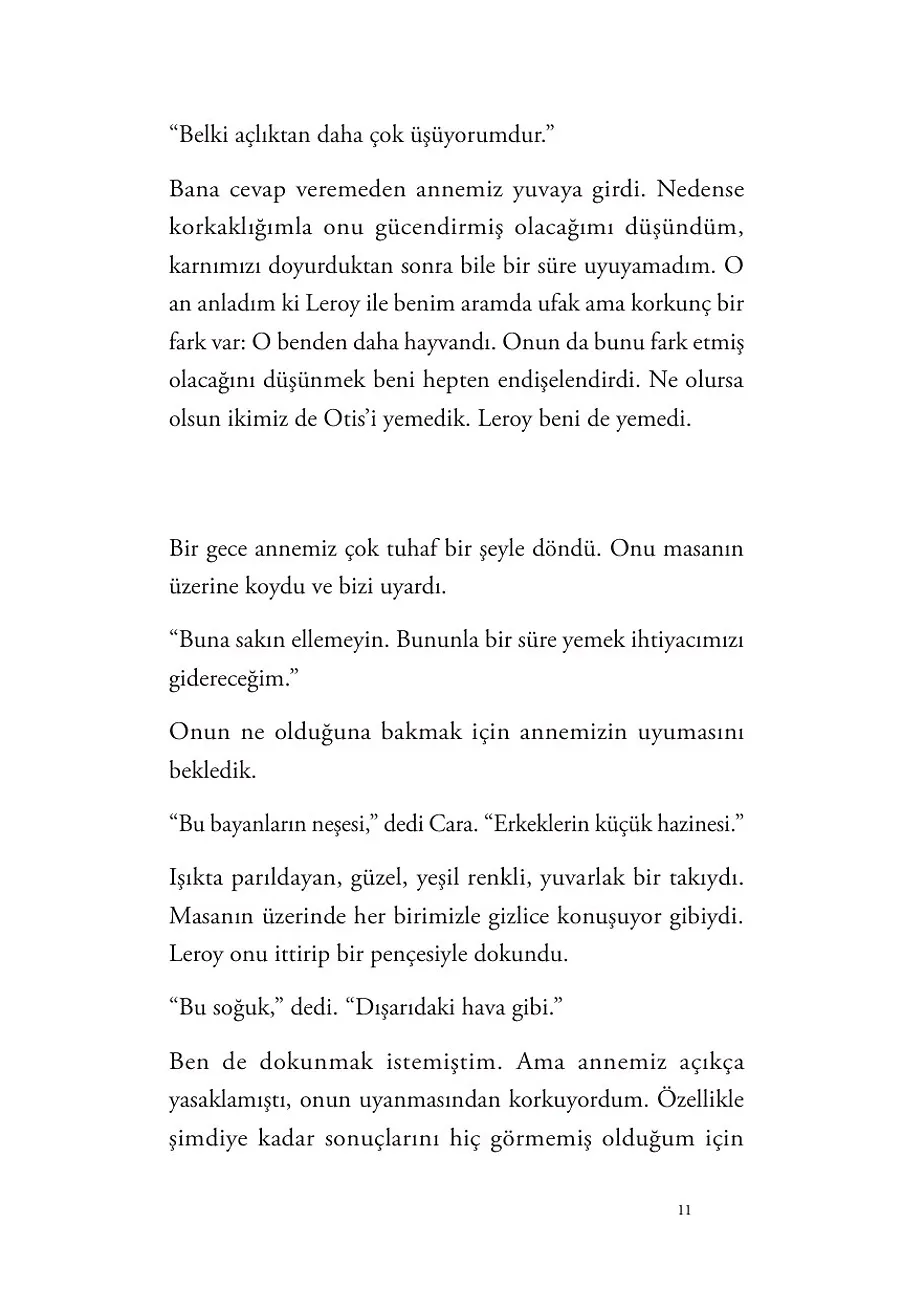 Benim Aptal Niyetlerim – Sayfa 5