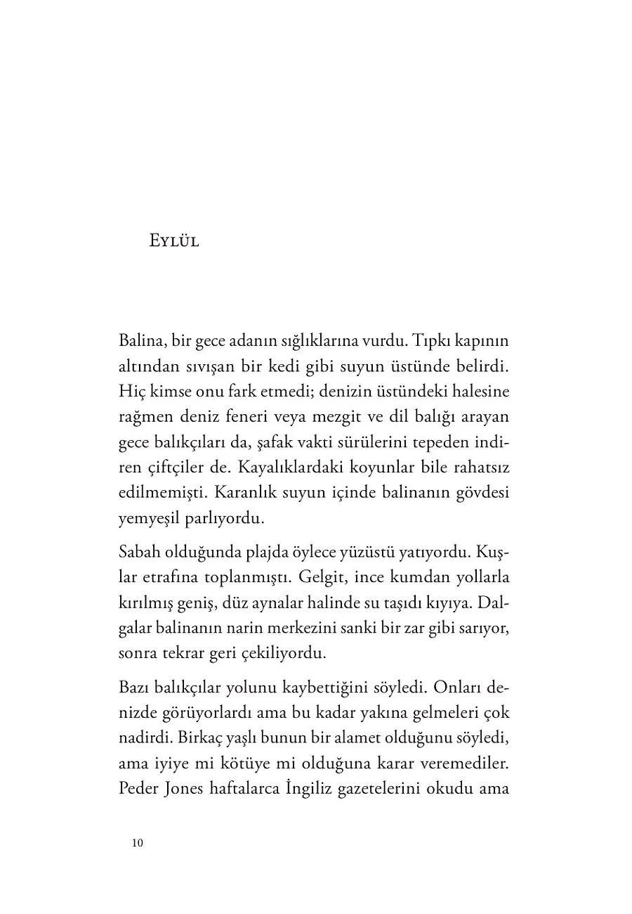 Balinanın Ölümü – Sayfa 3