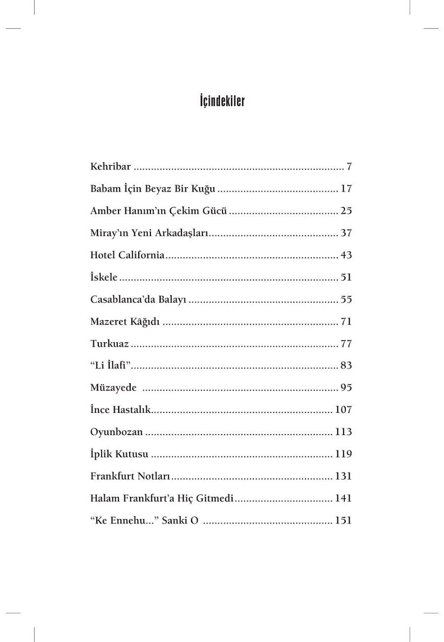 Babam İçin Beyaz Bir Kuğu – Sayfa 2