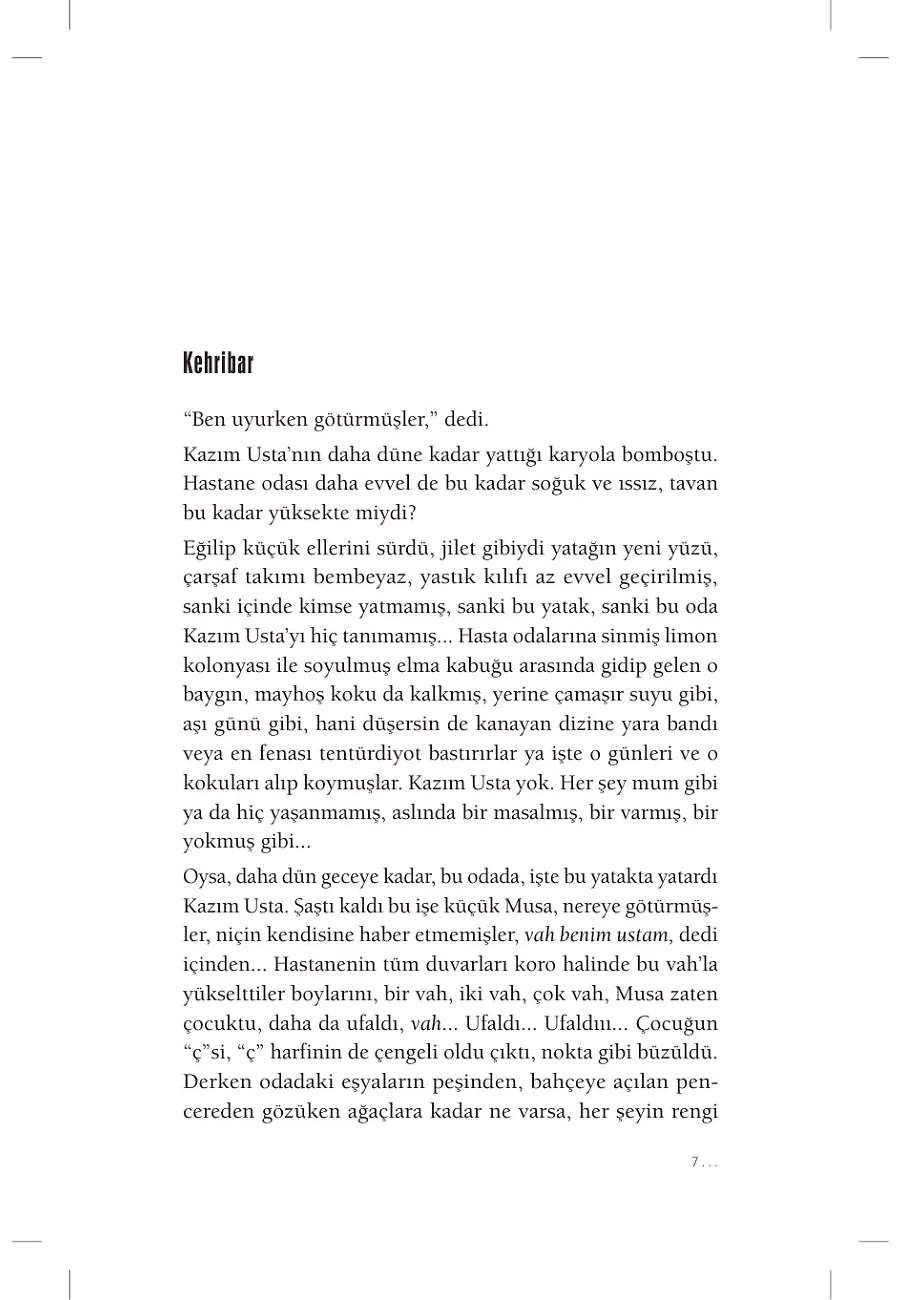 Babam İçin Beyaz Bir Kuğu – Sayfa 3