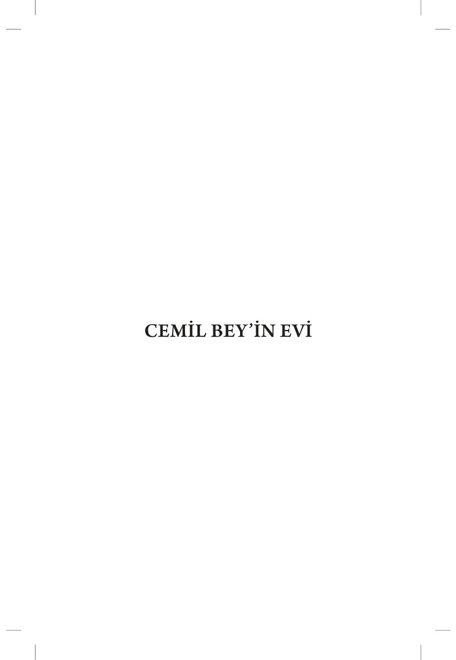 Antikacı – Sayfa 2