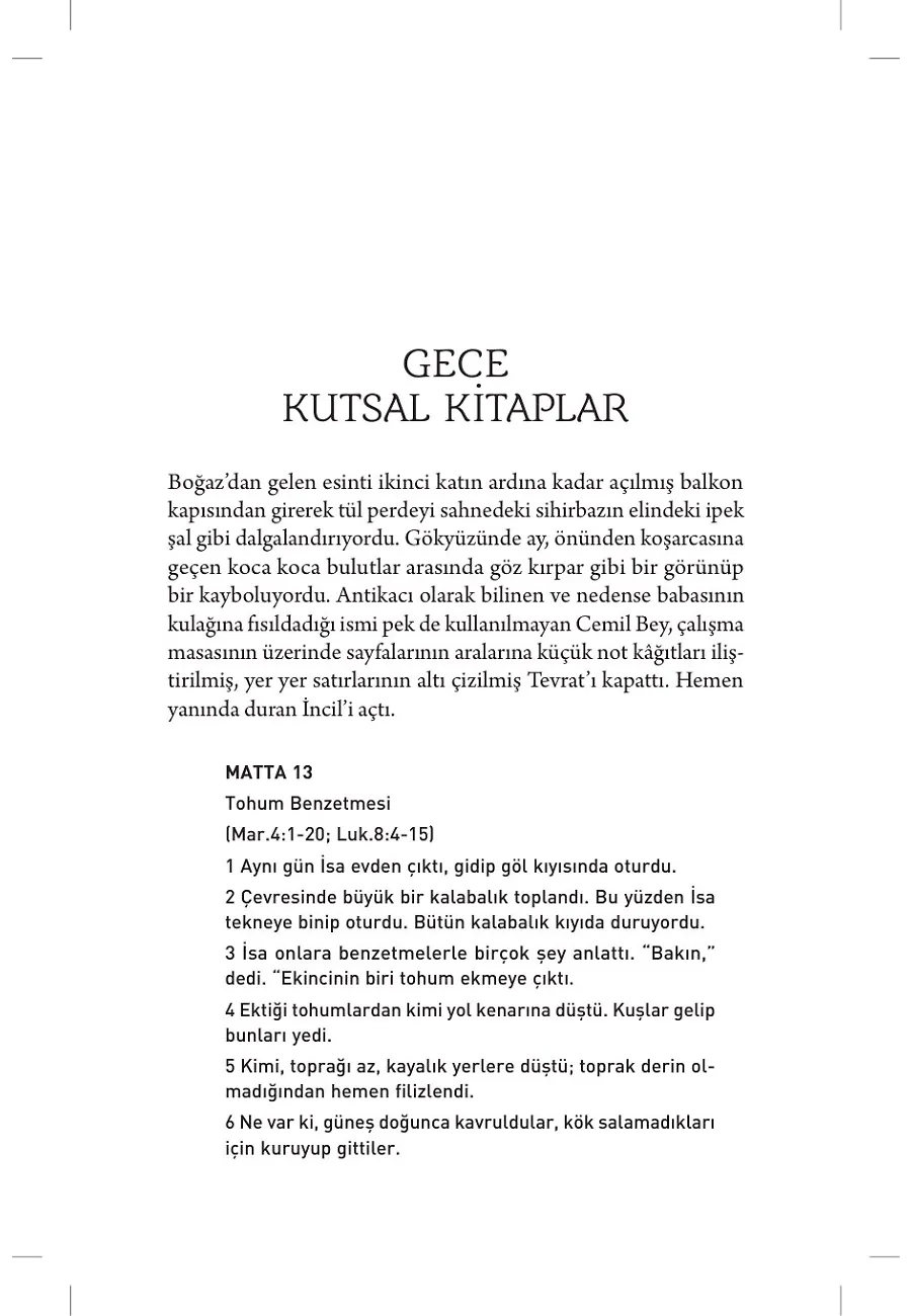 Antikacı – Sayfa 3