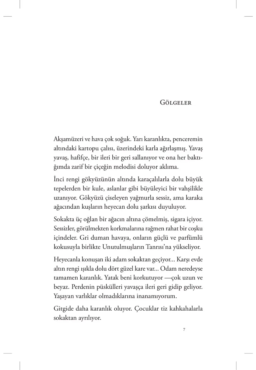Albüm Yaprağı – Sayfa 4