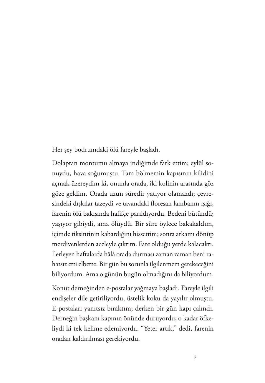 17 Haziran – Sayfa 1