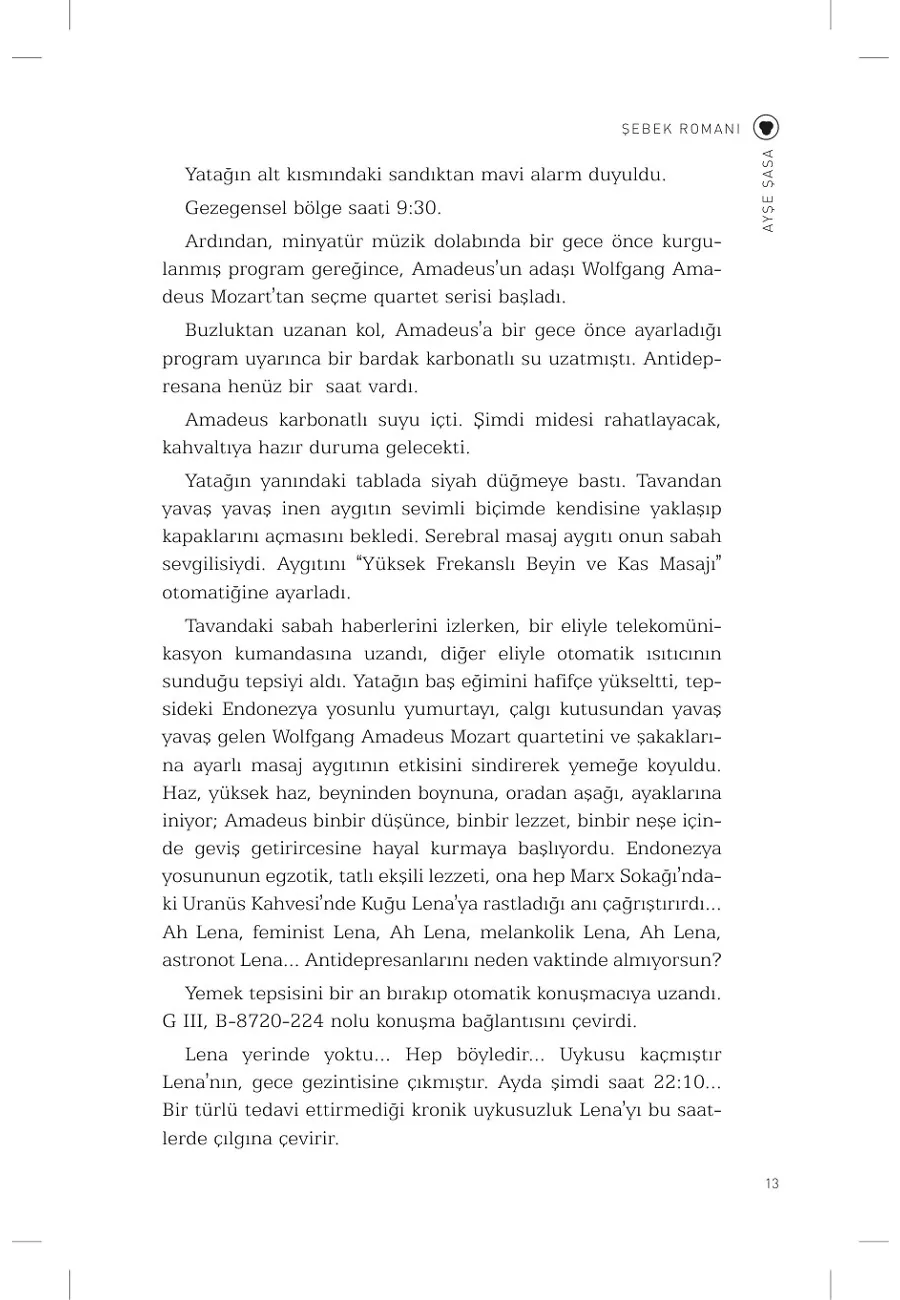 Şebek Romanı – Sayfa 6