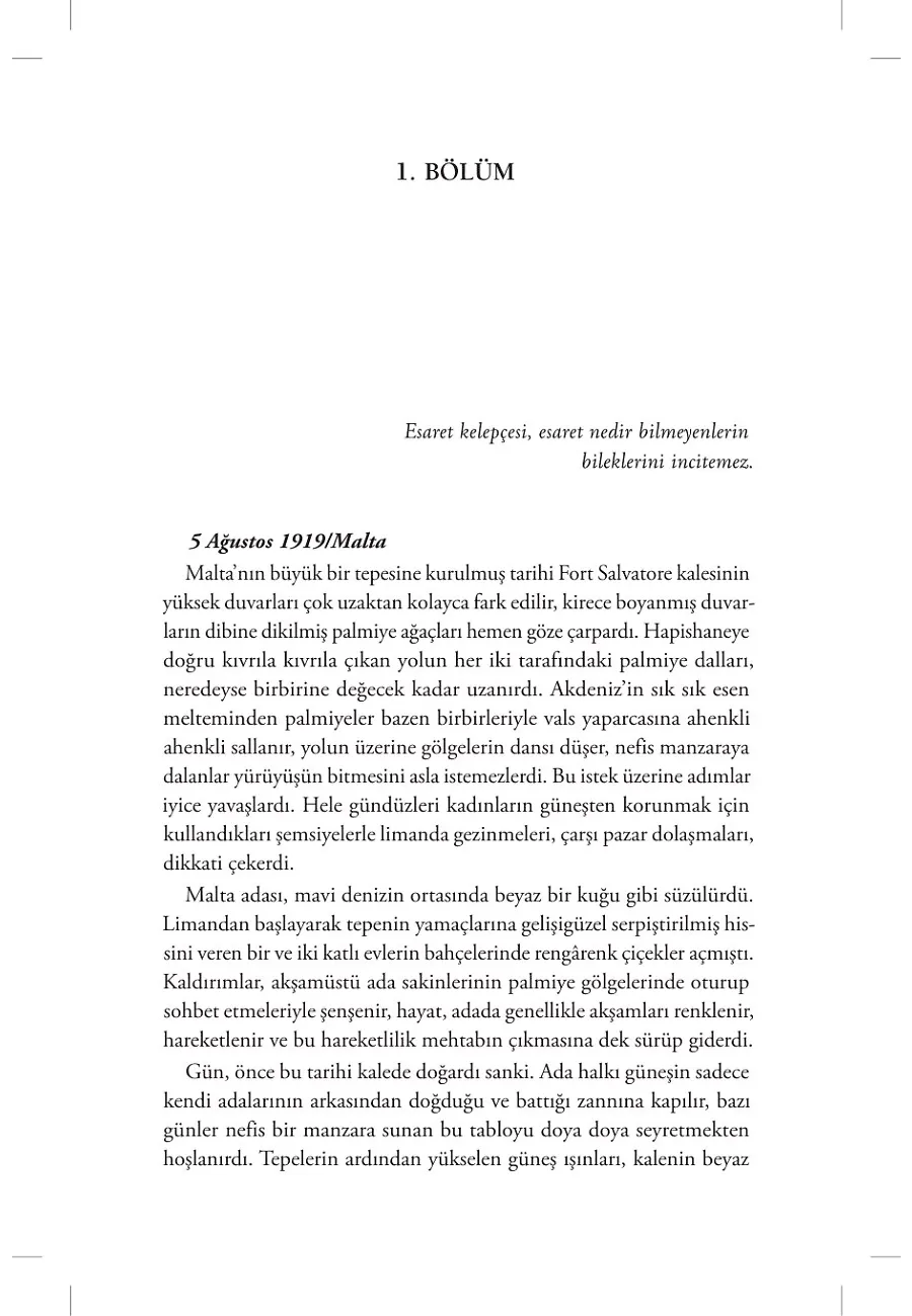 Medine Müdafaası Çöl Kaplanı Fahreddin Paşa – Sayfa 4