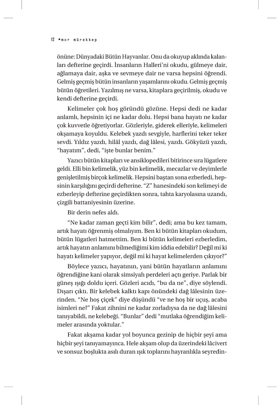 Mor Mürekkep – Sayfa 6