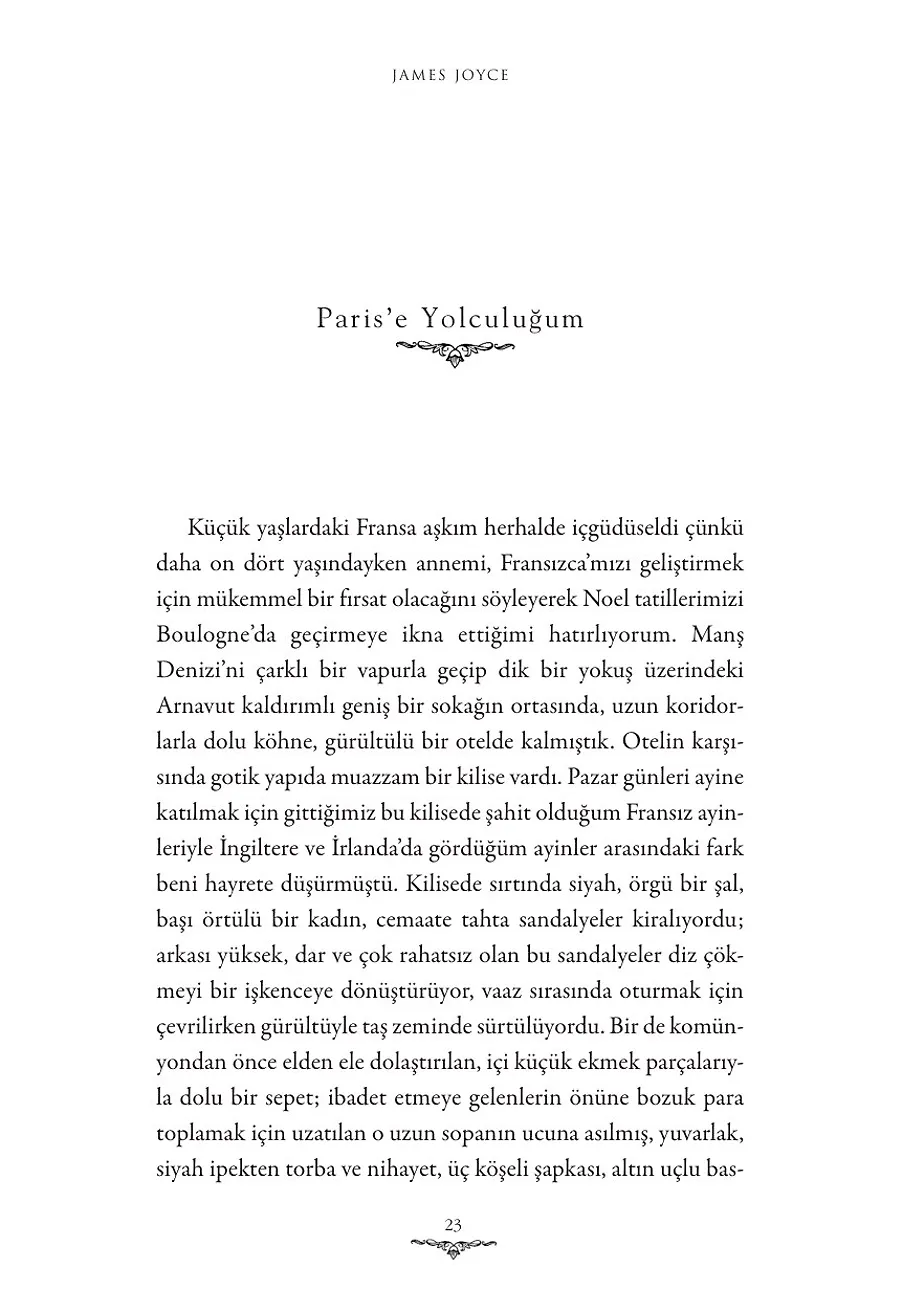 Büyük Yazarın Gizli Evreni James Joyce – Sayfa 4
