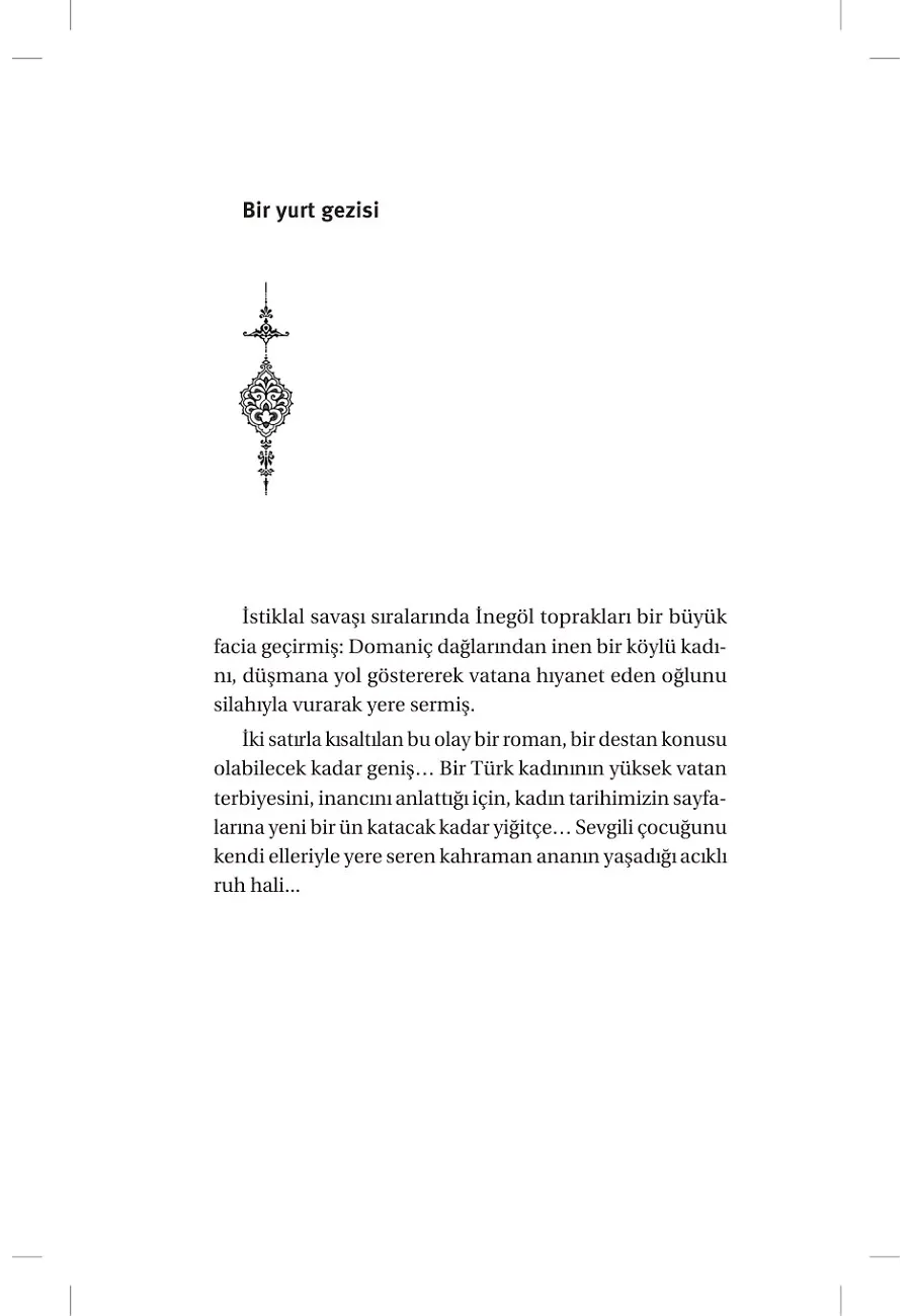 Domaniç Dağlarının Yolcusu – Sayfa 5