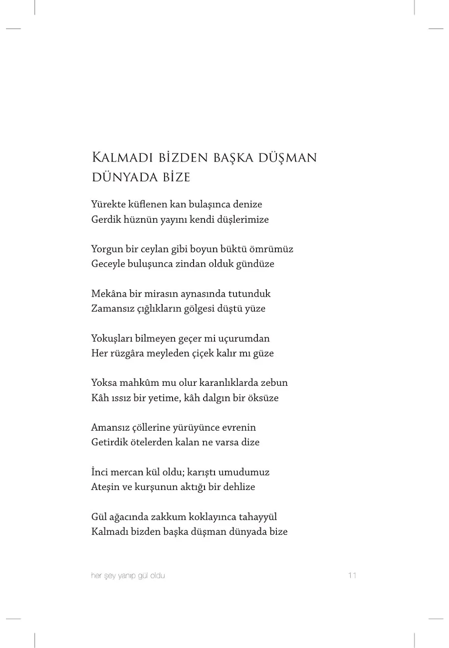 Çanakkale Her Şey Yanıp Gül Oldu – Sayfa 6