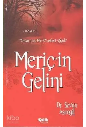 Meriç'in Gelini