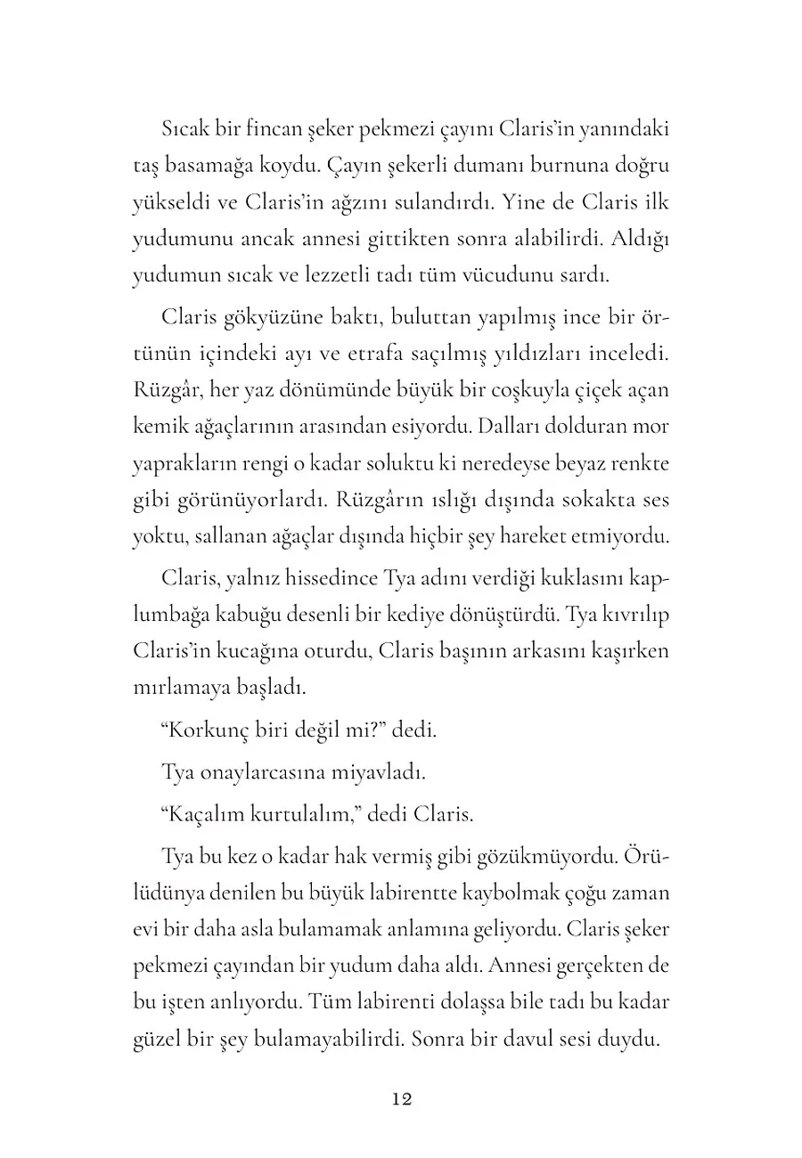 Zorlu Sınavlar (Sırfısıldayan 2) – Sayfa 2