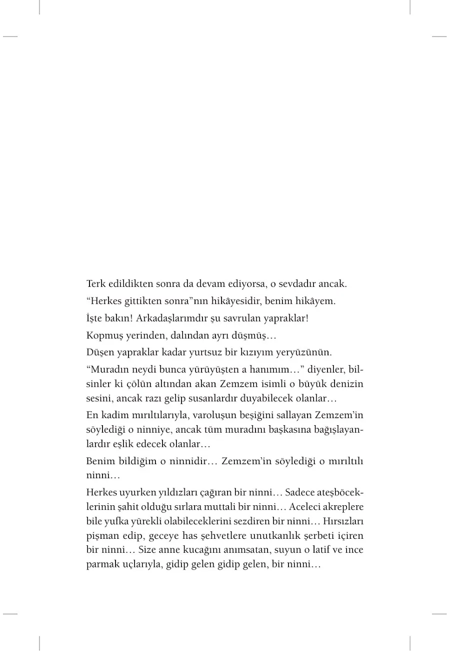 Zemzemin Annesi – Sayfa 2