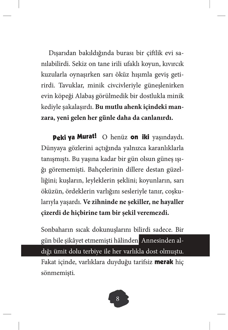 Yoldaki İpuçları - Maceraya Yolculuk – Sayfa 4