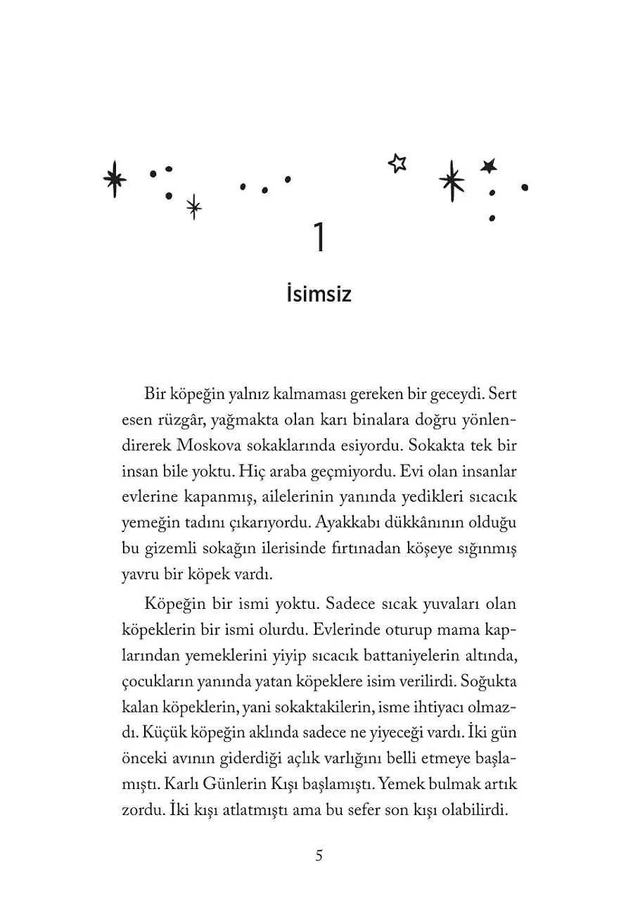Yıldız Köpek – Sayfa 1