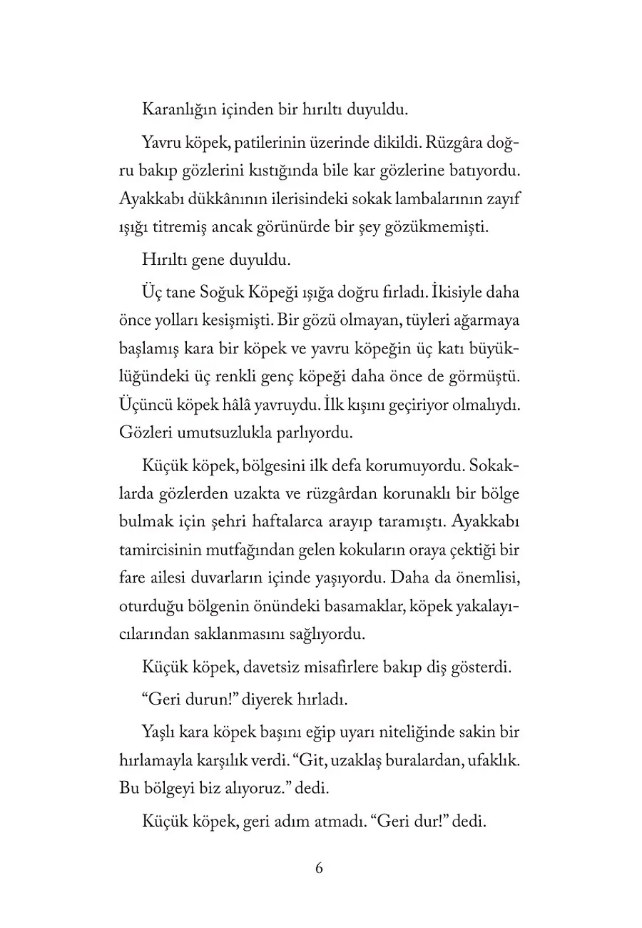 Yıldız Köpek – Sayfa 2