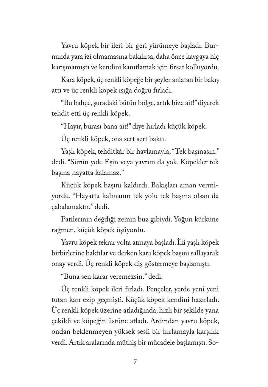 Yıldız Köpek – Sayfa 3