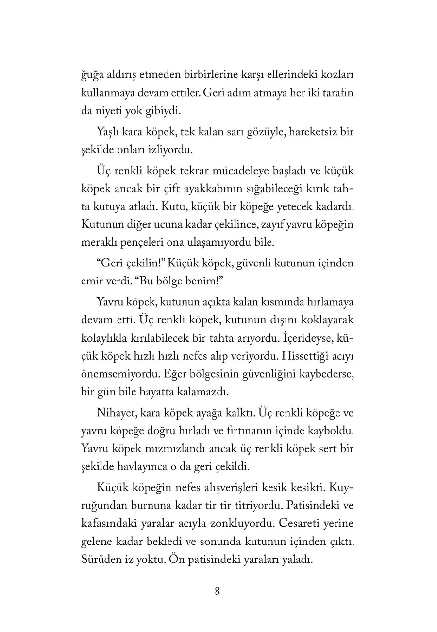 Yıldız Köpek – Sayfa 4