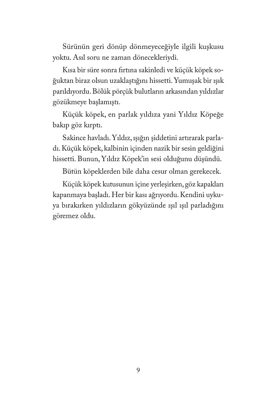 Yıldız Köpek – Sayfa 5
