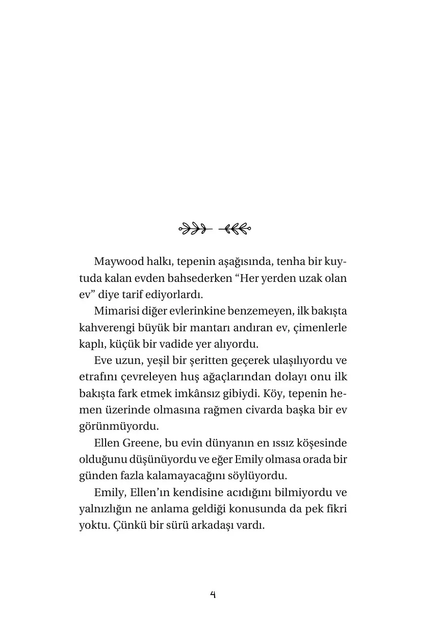 Yeni Ay - Mavinin Kızı Emily 1 – Sayfa 2