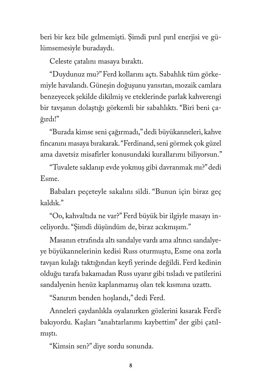 Yedi Diyar Geçidi 3 – Sayfa 2