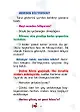 Sayfa 5